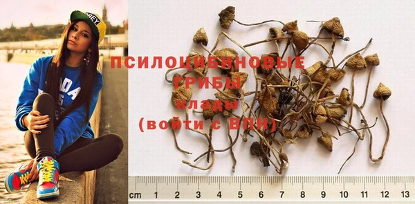 мдма Ростов