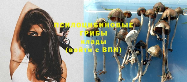 мяу мяу кристалл Рославль
